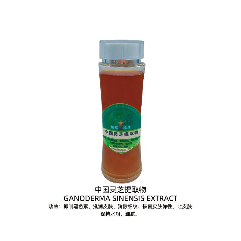 中国灵芝提取物 中国灵芝提取物
