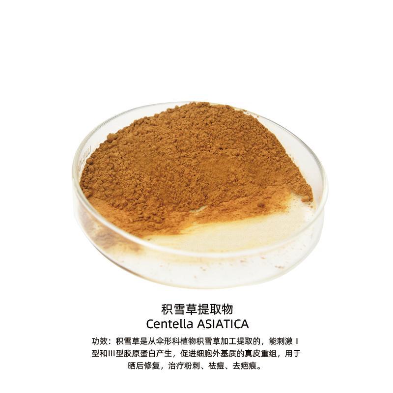 积雪草提取物